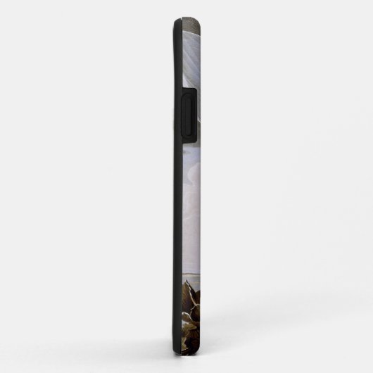 Audubon: Haring Gull Case-Mate iPhone Case (Achterkant/rechts)