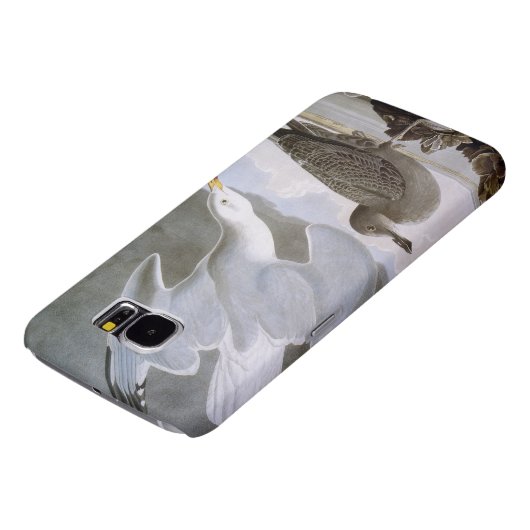 Audubon: Haring Gull Case-Mate Samsung Galaxy Hoesje (Onderkant)
