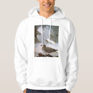 Audubon: Haring Gull Hoodie