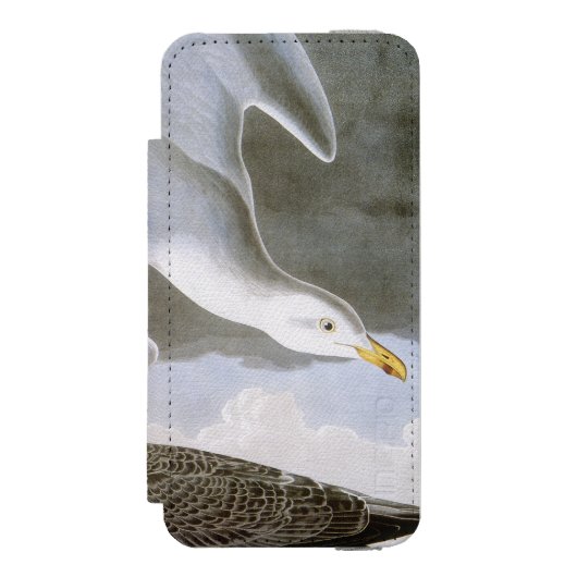 Audubon: Haring Gull Incipio iPhone Portemonnee Hoesje (Voorkant Agenda)