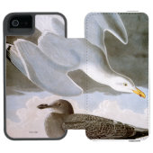 Audubon: Haring Gull Incipio iPhone Portemonnee Hoesje (Agenda Open)