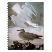 Audubon: Haring Gull Notitieboek (Voorkant)