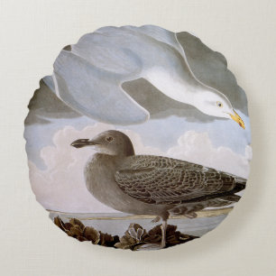 Audubon: Haring Gull Rond Kussen