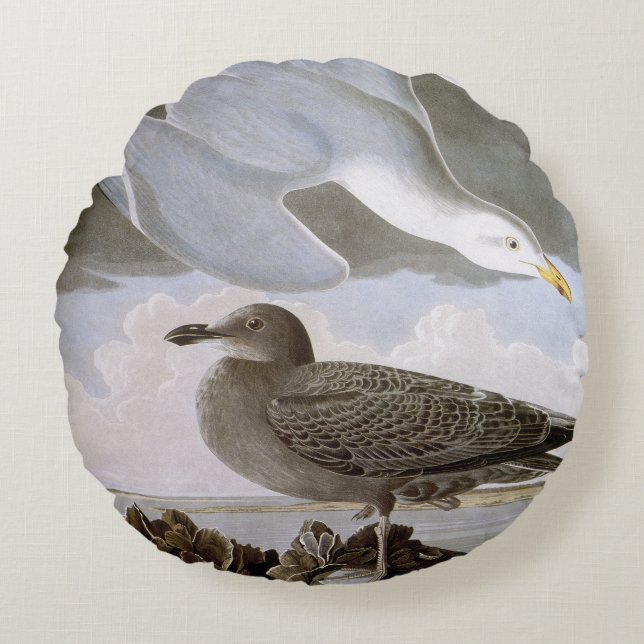 Audubon: Haring Gull Rond Kussen (Voorkant)