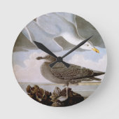 Audubon: Haring Gull Ronde Klok (Voorkant)
