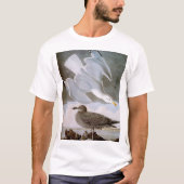 Audubon: Haring Gull T-shirt (Voorkant)