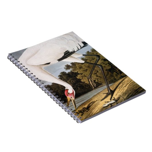 Audubon: Hele kraan Notitieboek (Rechterzijde)