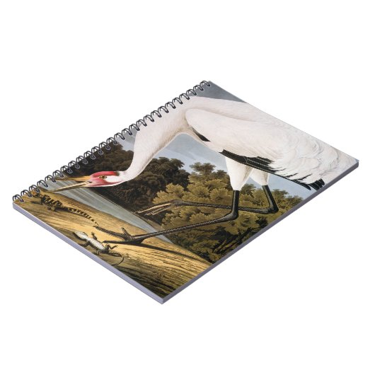 Audubon: Hele kraan Notitieboek (Linkerzijde)