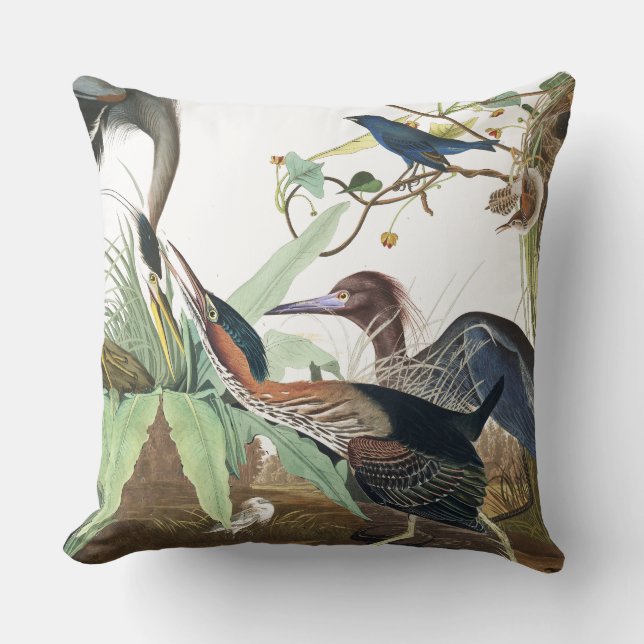 Audubon Heron Bird Wildlife Animal Sierkussen (Voorkant)