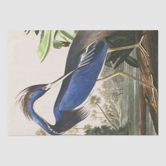 Audubon Heron Bird Wildlife Animal Tissue Paper Tissuepapier (Voorkant)