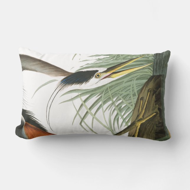 Audubon Heron Bird Wildlife Lumbar Pillow Kussen (Voorkant)