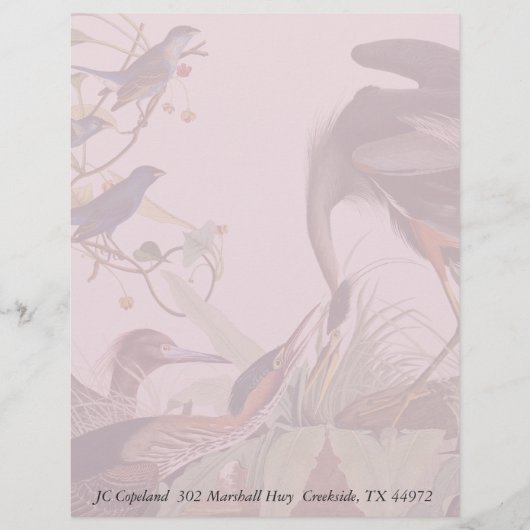 Audubon Heron Birds Collage Stationery Letterhead (Voorkant)
