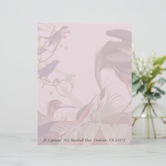 Audubon Heron Birds Collage Stationery Letterhead (Staand voorkant)