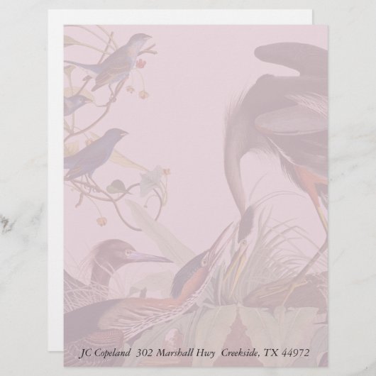 Audubon Heron Birds Collage Stationery Letterhead (Voorkant / Achterkant)