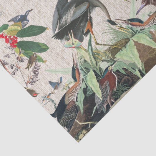 Audubon Heron Birds Collage Wildlife Weefpapier Tissuepapier (Detail)