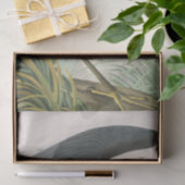 Audubon Heron Birds Wildlife Animal Tissue Paper Tissuepapier (Geschenk)