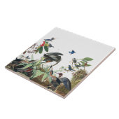 Audubon Heron Birds Wildlife Collage Tile Tegeltje (Zijkant)