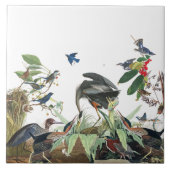 Audubon Heron Birds Wildlife Collage Tile Tegeltje (Voorkant)