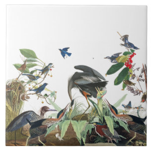 Audubon Heron Birds Wildlife Collage Tile Tegeltje