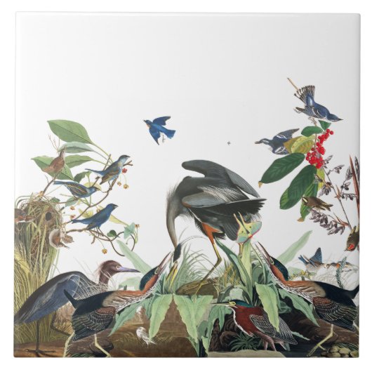 Audubon Heron Birds Wildlife Collage Tile Tegeltje (Voorkant)