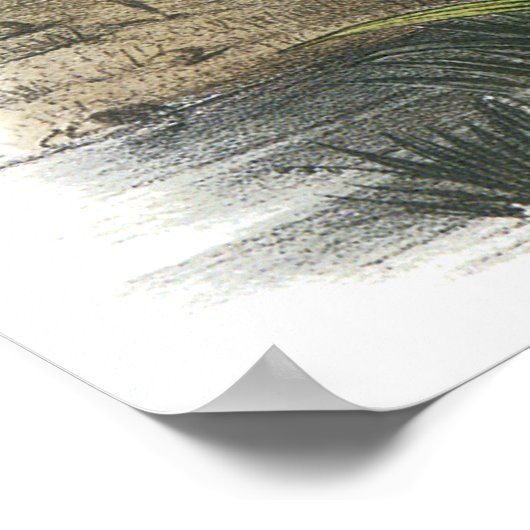 Audubon Heron Poster (Hoek)