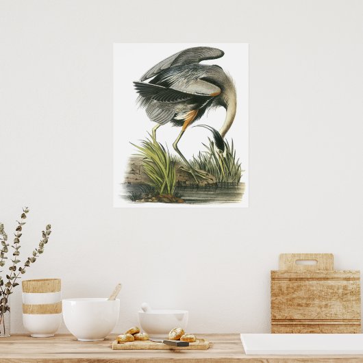 Audubon Heron Poster (Keuken)