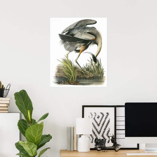 Audubon Heron Poster (Thuiskantoor)