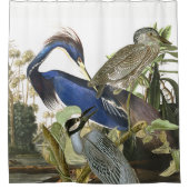 Audubon Herons & Dove Birds Animal Shower Curtain Douchegordijn (Voorkant)