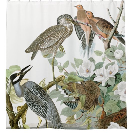 Audubon Herons & Dove Birds Animal Shower Curtain Douchegordijn (Voorkant)