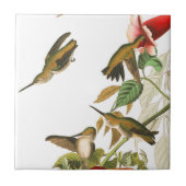 Audubon Hummingbird Birds Wildlife Floral Tile Tegeltje (Voorkant)