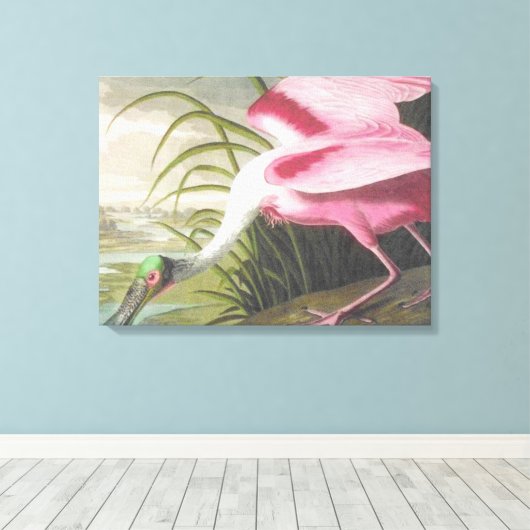 Audubon Illustration Spoonbill Bird Canvas Afdruk (Insitu (Houten vloer))