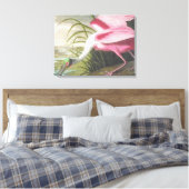  Audubon Illustration Spoonbill Bird Canvas Afdruk (Insitu (Slaapkamer))