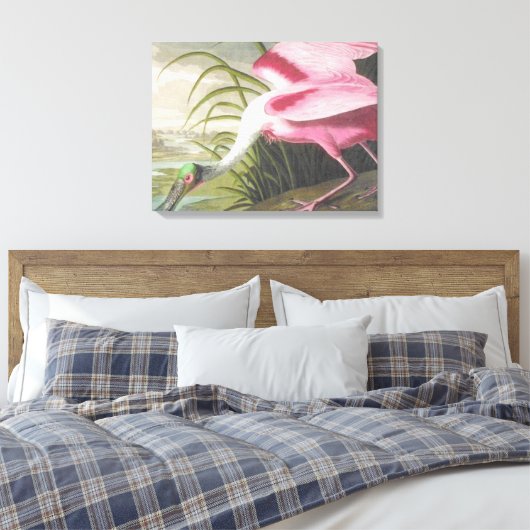  Audubon Illustration Spoonbill Bird Canvas Afdruk (Insitu (Slaapkamer))