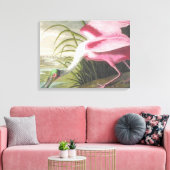  Audubon Illustration Spoonbill Bird Canvas Afdruk (Insitu (Woonkamer))