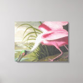 Audubon Illustration Spoonbill Bird Canvas Afdruk (Voorkant)