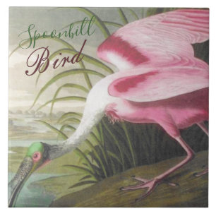  Audubon Illustration Spoonbill Bird Tegeltje