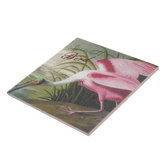  Audubon Illustration Spoonbill Bird Tegeltje (Zijkant)