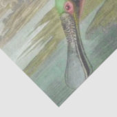 Audubon Illustration Spoonbill Bird Tissuepapier (Detail)