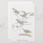 Audubon Indigo Bunting Print Briefpapier (Voorkant / Achterkant)