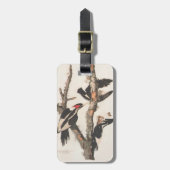 Audubon Ivory-Bled Woodpecker Bagagelabel (Voorkant verticaal)