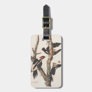 Audubon Ivory-Bled Woodpecker Bagagelabel