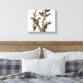 Audubon Ivory-Bled Woodpecker Canvas Afdruk (Insitu (Slaapkamer))