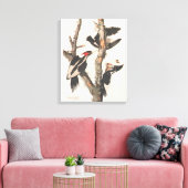 Audubon Ivory-Bled Woodpecker Canvas Afdruk (Insitu (Woonkamer))