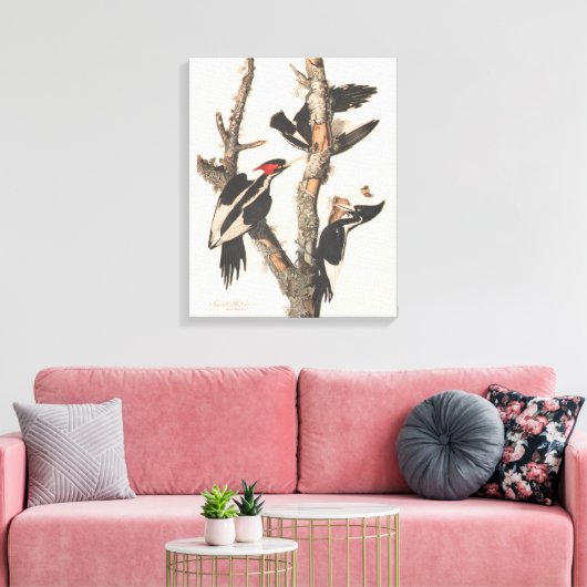 Audubon Ivory-Bled Woodpecker Canvas Afdruk (Insitu (Woonkamer))