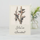 Audubon Ivory-Bled Woodpecker Kaart (Staand voorkant)