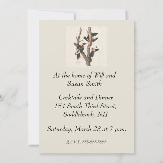 Audubon Ivory-Bled Woodpecker Kaart (Achterkant)