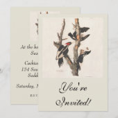 Audubon Ivory-Bled Woodpecker Kaart (Voorkant / Achterkant)