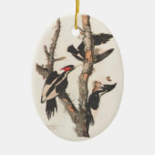 Audubon Ivory-Bled Woodpecker Keramisch Ornament (Voorkant)