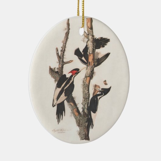Audubon Ivory-Bled Woodpecker Keramisch Ornament (Rechts)