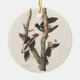 Audubon Ivory-Bled Woodpecker Keramisch Ornament